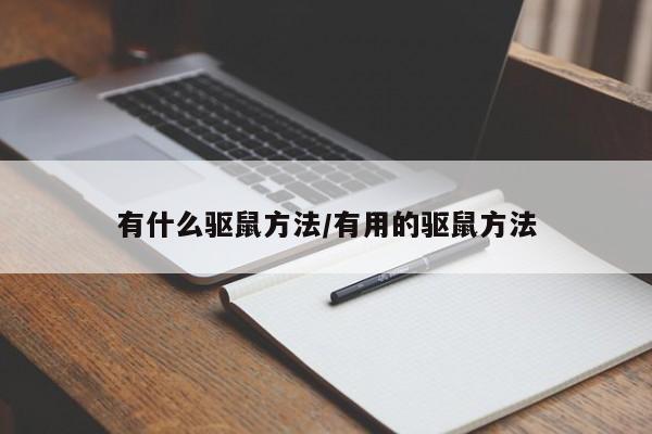 有什么驱鼠方法/有用的驱鼠方法