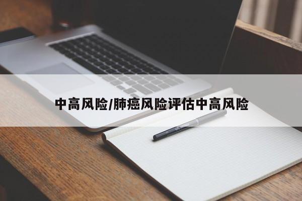 中高风险/肺癌风险评估中高风险