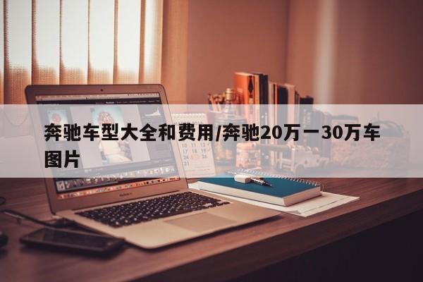 奔驰车型大全和费用/奔驰20万一30万车图片