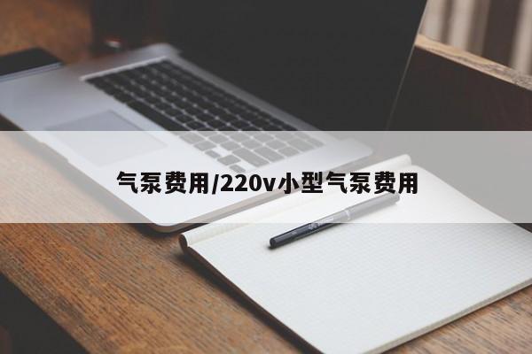 气泵费用/220v小型气泵费用