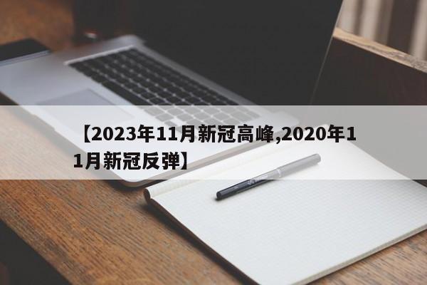 【2023年11月新冠高峰,2020年11月新冠反弹】