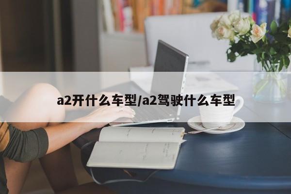 a2开什么车型/a2驾驶什么车型
