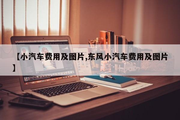 【小汽车费用及图片,东风小汽车费用及图片】