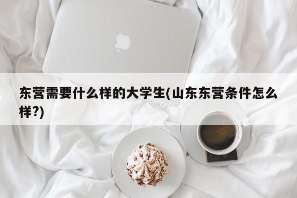 东营需要什么样的大学生(山东东营条件怎么样?)