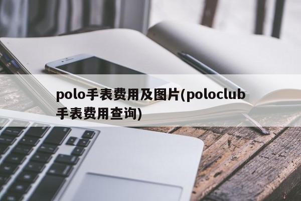 polo手表费用及图片(poloclub手表费用查询)