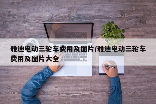 雅迪电动三轮车费用及图片/雅迪电动三轮车费用及图片大全